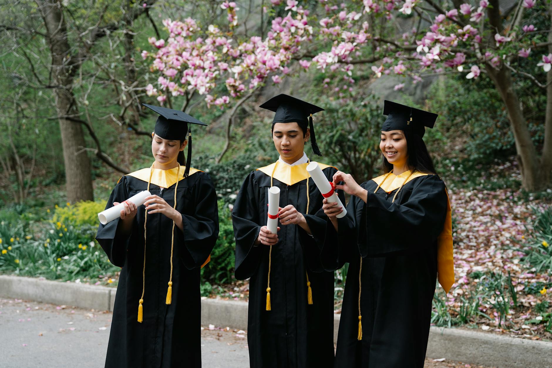 2027年澳洲主要留学城市性价比对比：预算与资源的平衡点